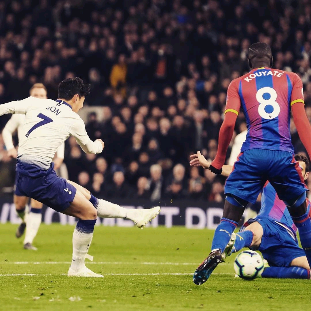 这一观点引 这一观点引